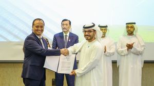 进行可行性研究,阿拉伯联合酋长国巨头希望在IKN建立可再生能源