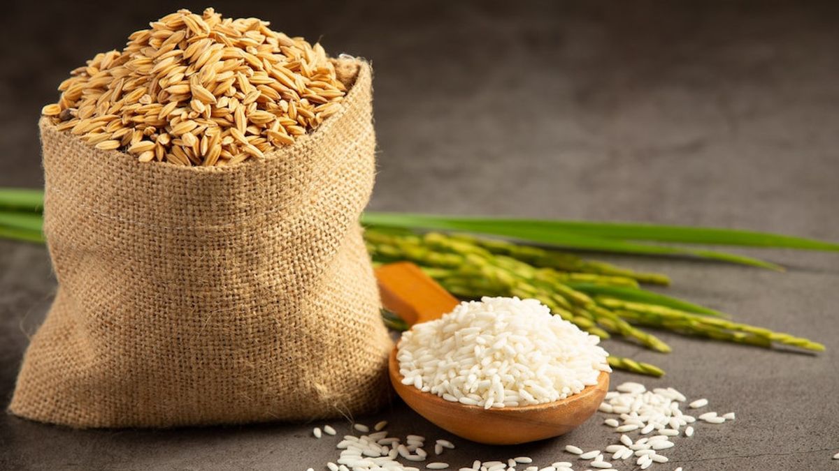 Rice Water For Plants: Here's A List Of Benefits And Methods For Using It