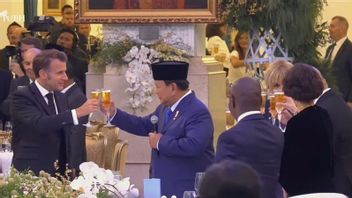 Prabowo Bicara ke Macron Kedekatan Dirinya dengan Prancis