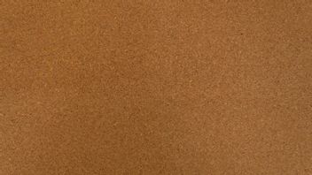 Perpaduan Warna Coklat​ yang Tidak Mencolok, Ini Pilihannya