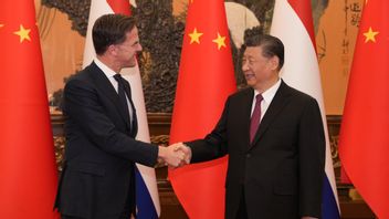 马克·吕特(Mark Rutte)会见了习近平的荷兰-中国网络间谍问题