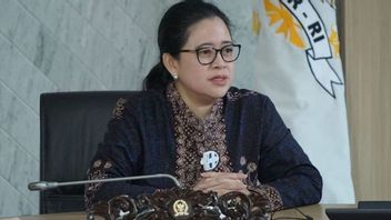 Puan Maharani Ingatkan Jokowi Jaga <i>Trust</i> Masyarakat, Jangan Kasus COVID Turun Karena Testing Menurun