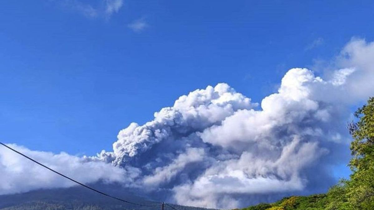4 Residents Died In The Emergency Period Of The NTT Men's Mount Lewotobi Eruption