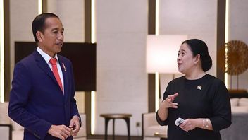Puan Soal Kabar Jokowi Minta Presiden 3 Periode: Setahu Saya Enggak Pernah Beliau Minta Perpanjangan