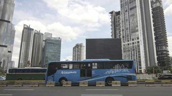 Driver Becomes Victim Of 'Playing Hands', Transjakarta Polices Plate F Driver: Reject Violence On Roads Disturbing Customer Comfort