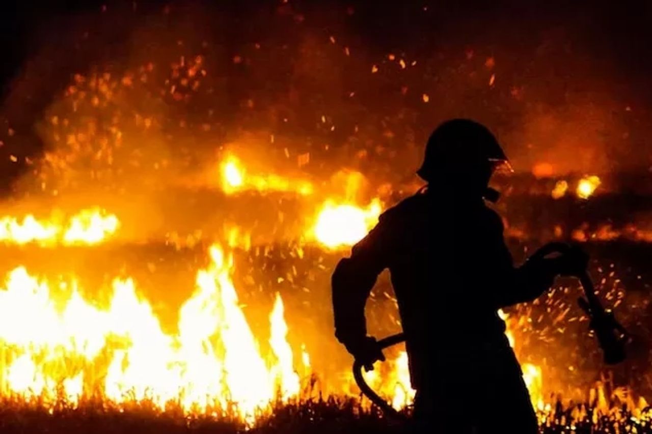 Los Angeles Fire Allegedly Deliberately, One Suspect Arrested Armed With 'Firespread'