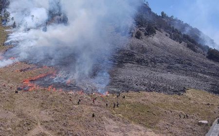 Kebakaran Hutan, Kawasan Wisata Gunung Bromo Ditutup Total