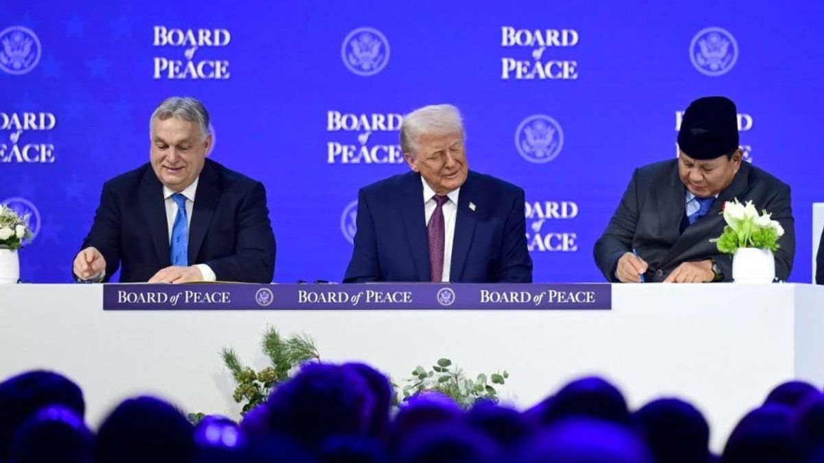Board of Peace