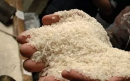 Pakar UGM Pastikan Kabar Peredaran Beras Plastik Hoaks