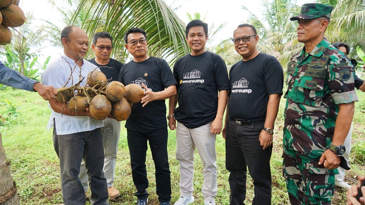 World Coconut Day, Moeldoko Tanam New Kelapa Varietas, This Is The Excellence