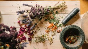 Ketahui 4 Jenis Tanaman Herbal untuk Atasi Kulit Gatal 