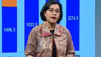 وزيرة المالية سري مولياني: تطوير البنية التحتية الرقمية في إندونيسيا مهم جدا