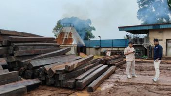 Kemenhut Teruskan Proses Hukum Jaringan Pengangkut Kayu Ilegal Batam