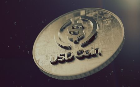 USDC Stablecoin Catat Net Inflows Tertinggi dalam Setahun di Bursa Kripto