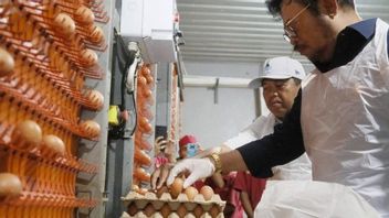 Minister Of Agriculture Ensures Availability Of Eggs Ahead Of Eid 2023 Is Sufficient
