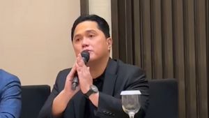 埃里克·托希尔(Erick Thohir)的解雇:现在是正确的时间