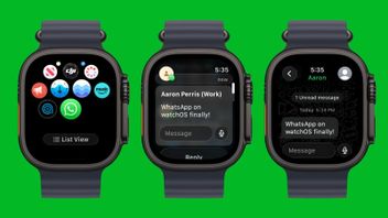 WhatsApp Uji Coba Aplikasi Khusus untuk Apple Watch