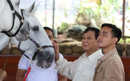 TKN Prabowo-Gibran Tak Tahu soal Kecurangan yang Dimaksud Megawati