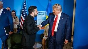    Zelenskyy Optimistis Pertemuan dengan Trump Bisa Bantu Akhiri Perang