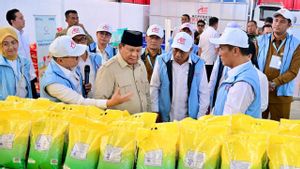 Bulog Pasok Beras SPHP hingga Minyak Goreng ke Kopdes Merah Putih