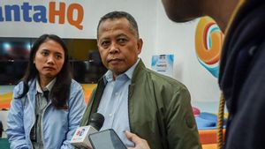 TKN Prabowo-Gibran Umbar Janji Bakal Turunkan PPN pada 2025