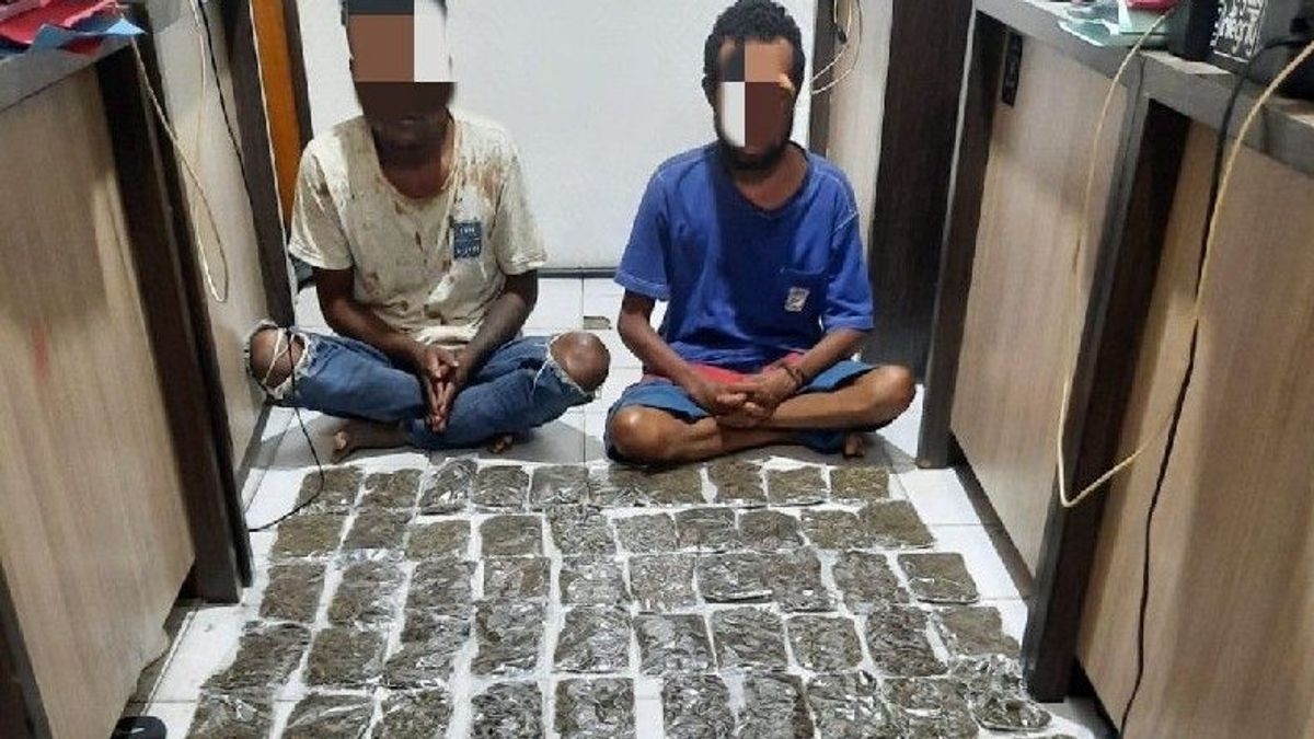 الشرطة تؤمن 2.8 كيلوغرام من الماريجوانا على حدود RI-PNG ، واعتقال 2