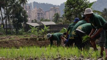 Bachelière d’École de terrain climatique, BMKG espère que les agriculteurs économiseront l’eau de pluie sous les impacts météorologiques extrêmes