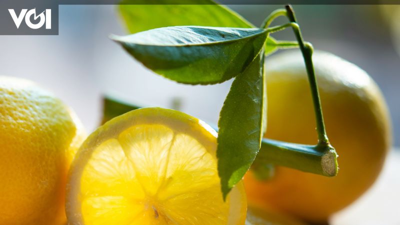 How To Know Lemon Is Already Observational: Here's The Full Explanation