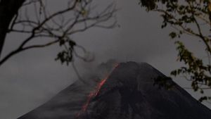 Gunung Merapi Muntahkan Awan Panas dan Lava Pijar ke Barat Daya