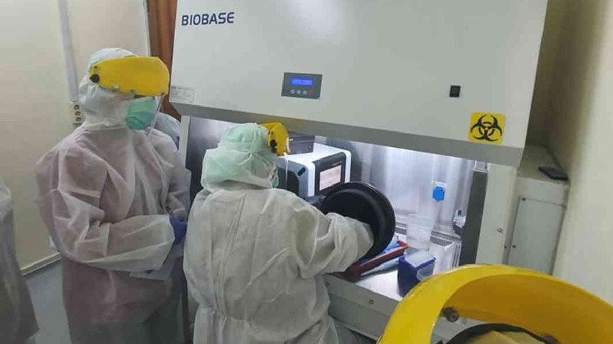 Nouveaux Cas De COVID-19 à Jakarta Translucides 14 619, Gouverneur Adjoint: Parce Que Nos Tests PCR Sont 20 Fois La Norme