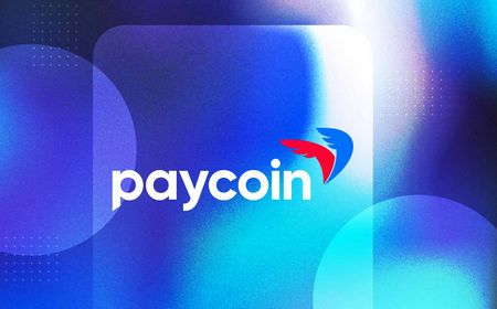 Paycoin Melonjak 25%, Ini Penyebabnya!