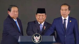 Komisi VI DPR Tegaskan Danantara Bisa Diaudit Sesuai UU: Jika Ada Kesalahan, Pengelola Bisa Diproses Hukum