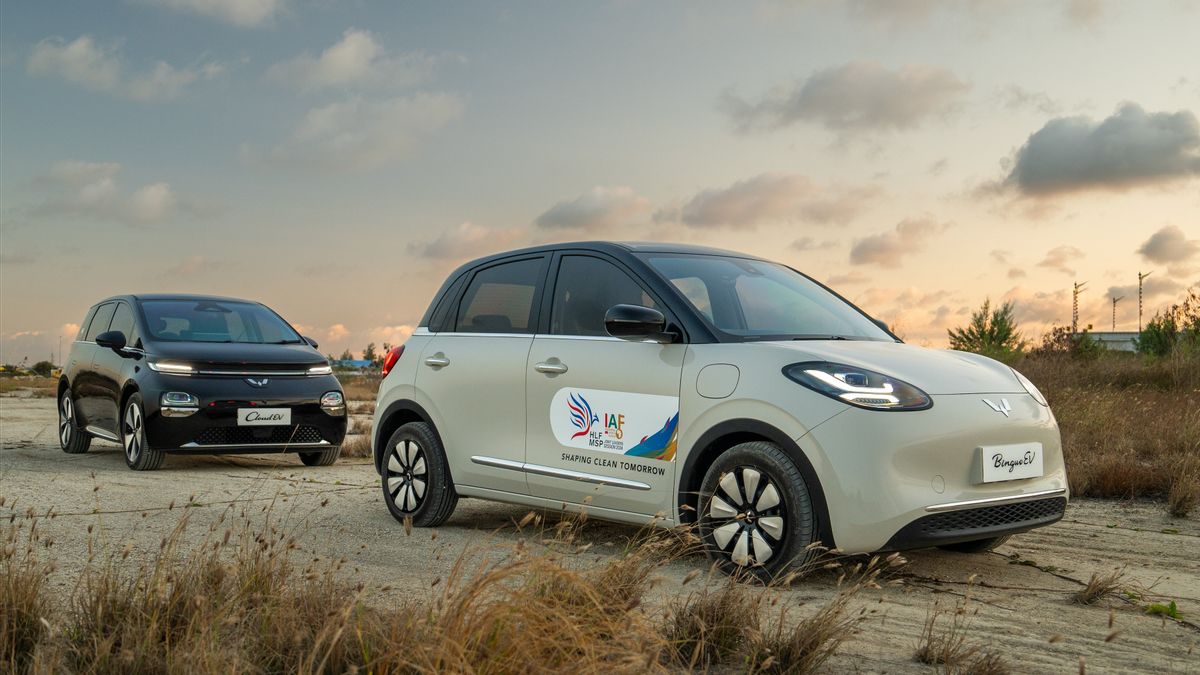 158 Units Of Wuling Electric Cars Become Official Car Partners At HLF-MSP And The 2nd IAF 2024 Events In Bali