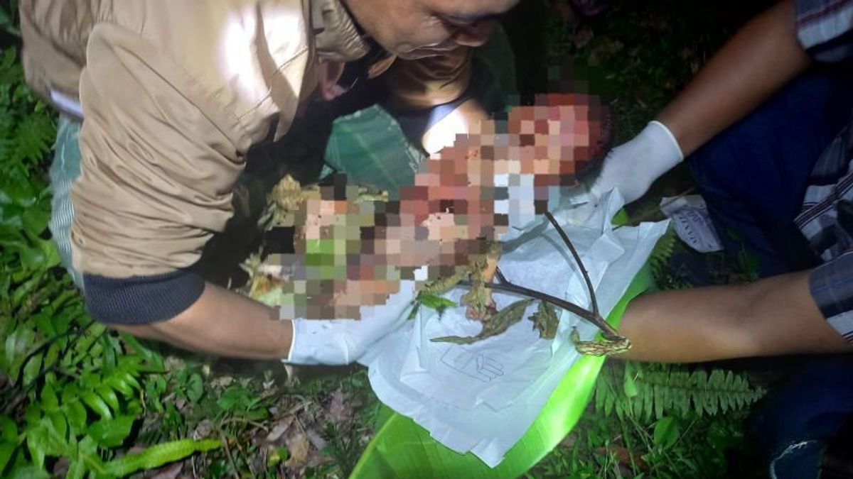 Whoops! The Discovery Of A Baby's Body In The Gegerkan Garden Of Central Lombok Residents