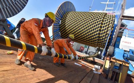 KKP Ungkap Masih Ditemukan Pemilik Kabel Laut Belum Patuhi Aturan