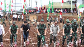 Pour réaliser la sécurité alimentaire, KSAD Maruli Dorong Tni utilise le sol de sommeil pour un sol productif