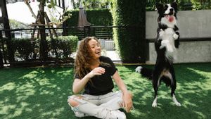 8 Trik Seru dan Mudah yang Bisa Diajarkan ke Anjing Peliharaan agar Makin Pintar