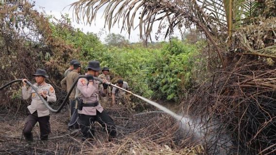 Tim Gabungan Padamkan Karhutla di Kepulauan Meranti