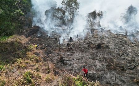 Waspada Karhutla, Bupati Kotim di Kalteng Instruksikan Camat hingga Kades Serius Lakukan Pencegahan