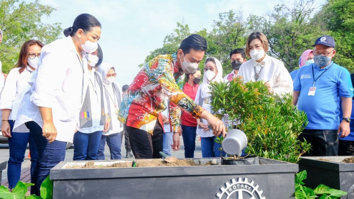 Gibran 'Jokowi' Furious RTH In Solo Is Lacking: Plants Are Replaced By Paving, Cut Trees At Least