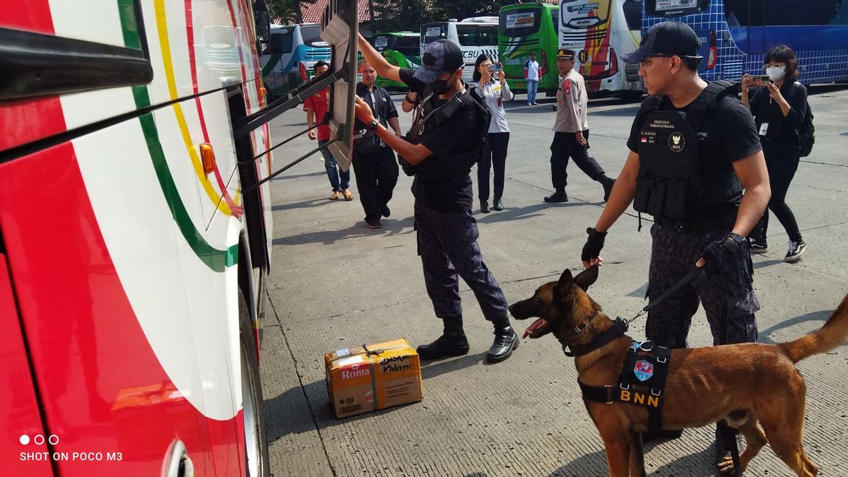 Sjors, Drug Tracking Dog Unit K9 BNN RI Ever Detected Smuggling Of 500 Grams Of Marijuana