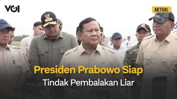 Presiden Prabowo Siap Tindak Pembalakan Liar