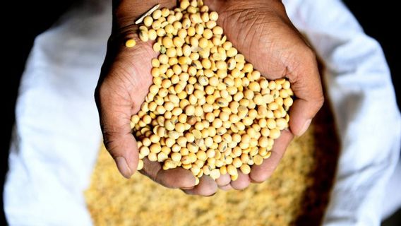 Wholesalers Complain, Soybean Prices In Surabaya Continue To Rise