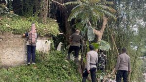 Macan Tutul Lepas dari Lembang Park Zoo