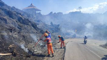 イジェン山の斜面の森林火災と土地火災 20ヘクタールに達する