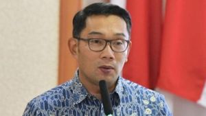 Ridwan Kamil Dinilai Moncer di DKI, Survei Indikator: Unggul jadi Cawapres dan Cagub