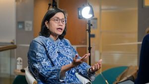 斯里·穆利亚尼(Sri Mulyani)强调了预测全球经济对能源转型影响的重要性