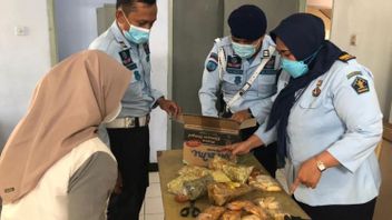 Berusaha Kelabui Petugas, Pengunjung Lapas Masukan Sabu ke Dalam Tulang Ayam