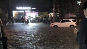 Petarung UFC Bagikan Momen Banjir Menggenangi Jalanan Kota Seoul, Dampak Curah Hujan Paling Deras Sejak 1942