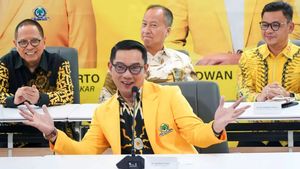 TKN Umumkan TKD Prabowo-Gibran, Ridwan Kamil-Airin Dapat Tugas Pemenangan di Jabar-Banten